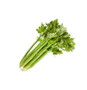 Celery