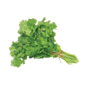 Coriander Leaves