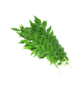 Curry Leaves