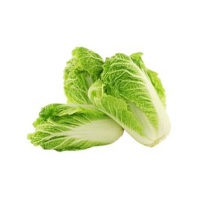 Chinese Cabbage