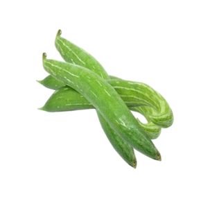 Snake Gourd